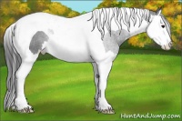 Horse Color:Black Sabino Splash Tobiano