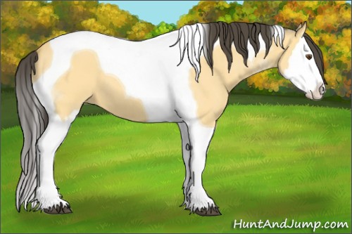 Horse Color: Buckskin Dun Splash Tobiano 