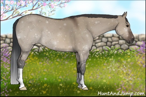 Horse Color: ERROR: UNKNOWN ANOMALY