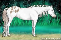 Horse Color:Chocolate Palomino Roan Splash Frame Appaloosa