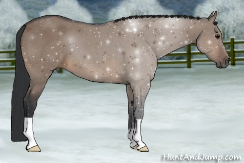 Horse Color: ERROR: UNKNOWN ANOMALY