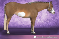 Horse Color:Chocolate Palomino Frame 