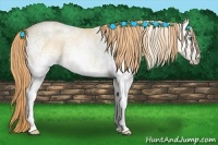 Horse Color:White Spotted Buckskin Pearl Dun 