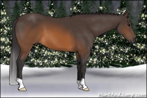 Horse Color: Buckskin 