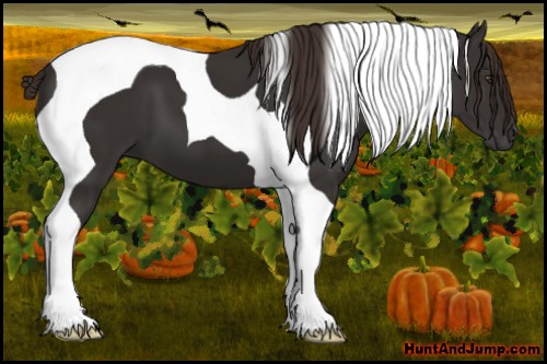Horse Color: Liver Chestnut Tobiano 
