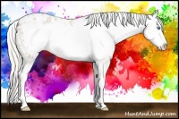 Horse Color:Cremello Frame Appaloosa 