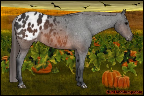 Horse Color: Brown Blanket 