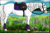 Horse Color:Silver Smoky Creme Roan Dun Splash Frame Blanket 