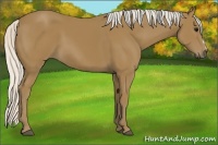 Horse Color:Silver Smoky Black 