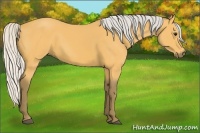 Horse Color:Silver Buckskin 