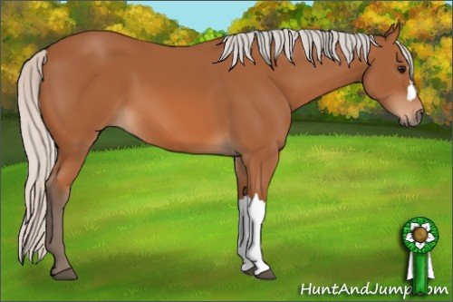 Horse Color: Silver Bay 