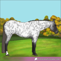 Horse Color:Smoky Blue Roan Blanket 