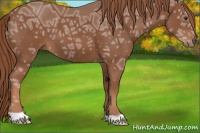 Horse Color:Chestnut Ice 