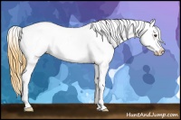 Horse Color:Buckskin Dun Snowcap 