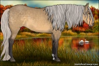 Horse Color:Silver Buckskin Dun 