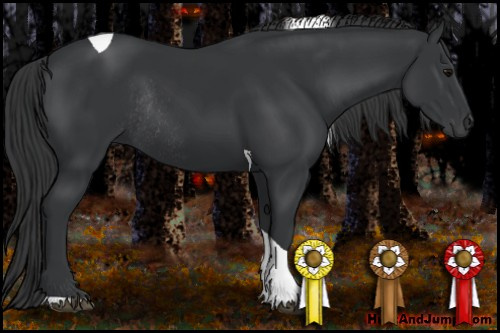Horse Color: Black Tobiano Rabicano 