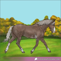 Horse Color:Silver Black Sabino 