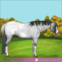 Horse Color:White Spotted Blue Roan Splash Frame Blanket 