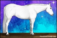 Horse Color:Gray White Spotted Smoky Black  Brindle