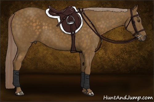 Horse Color:Chocolate Palomino 