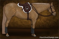 Horse Color:Chocolate Palomino 