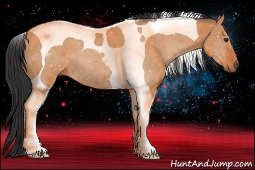 Horse Color: ERROR: UNKNOWN ANOMALY
