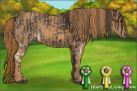 Horse Color:White Spotted Smoky Black  Brindle
