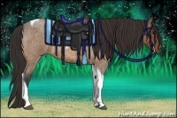 Horse Color:Buckskin Roan Tobiano Rabicano