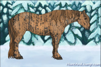 Horse Color:Gray White Spotted Black  Brindle