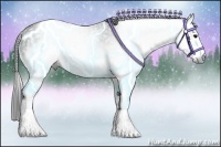 Horse Color:Gray White Spotted Black  Brindle