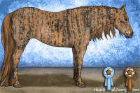 Horse Color:Gray White Spotted Black  Brindle