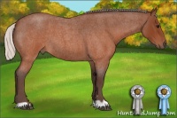 Horse Color:Silver Brown Roan 