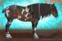 Horse Color:White Spotted Liver Chestnut 
