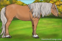 Horse Color:Silver Bay 