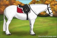 Horse Color:Silver Bay Blanket 
