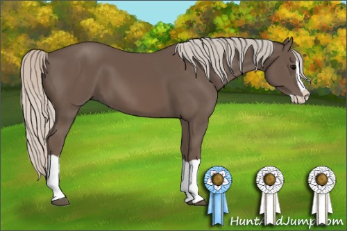 Horse Color: Silver Black Splash 