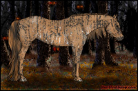 Horse Color:Gray White Spotted Smoky Black  Brindle