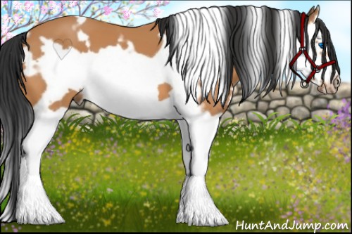 Horse Color:White Spotted Bay Splash Frame 