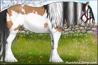 Horse Color:White Spotted Bay Splash Frame