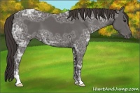 Horse Color:Smoky Black Ice Sabino 