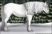 Horse Color:Gray White Spotted Grullo  Brindle