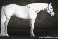 Horse Color:Gray White Spotted Smoky Black Ice  Brindle
