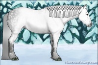 Horse Color:Gray White Spotted Black  Brindle