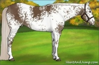 Horse Color:White Spotted Silver Smoky Black 