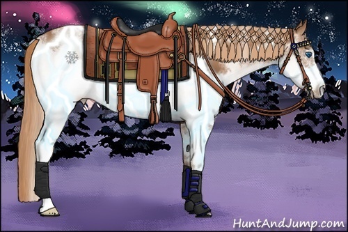 Horse Color:White Spotted Chestnut Sabino Frame 