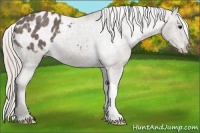 Horse Color:Silver Black Blanket 