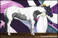 Horse Color:Black Tobiano Rabicano