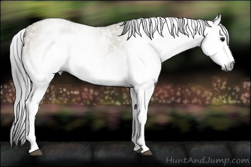 Horse Color:Gray White Spotted Smoky Grullo  Brindle
