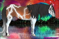 Horse Color:Bay Splash 