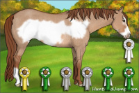 Horse Color:Red Dun Frame Rabicano 
